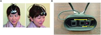 Steady Beat Sound Facilitates both Coordinated Group Walking and Inter-Subject Neural Synchrony